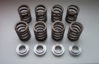Intensified valve springs, CIH